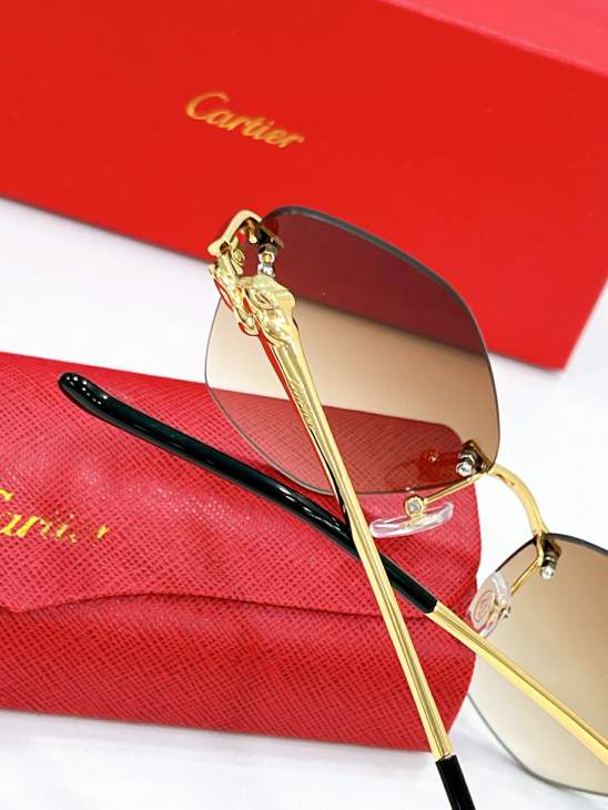 Picture of Cartier Sunglasses _SKUfw79568550fw